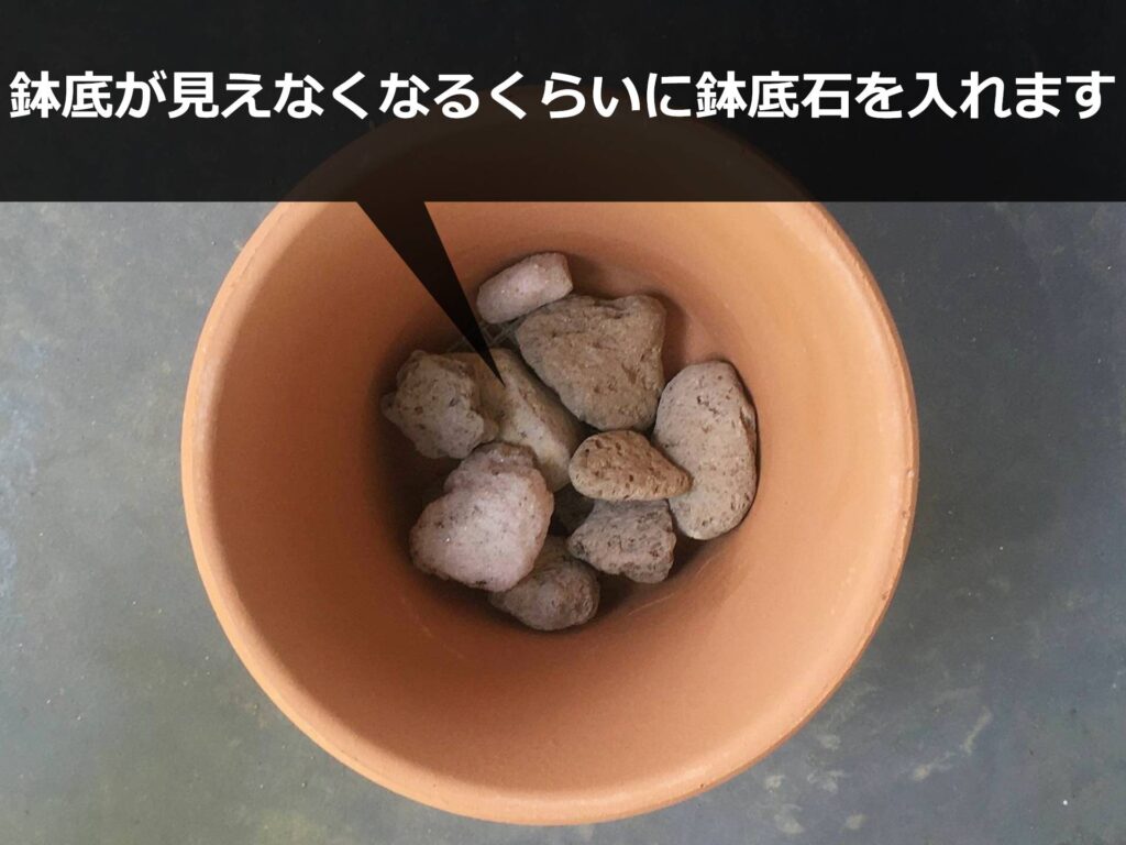 素焼き鉢に敷いたゴロ石