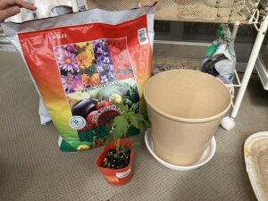 ミニトマトの苗と土と鉢