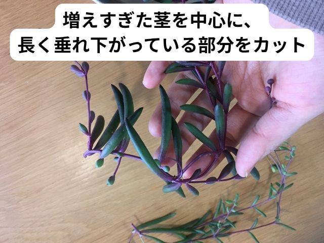 増えすぎたルビーネックレスをカット