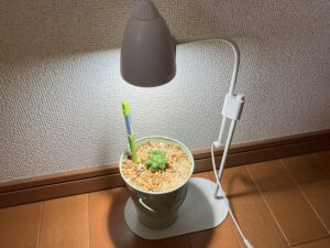 植物育成LEDライト