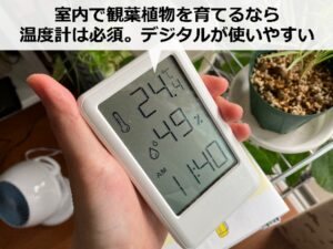 観葉植物の脇に置いた温度計