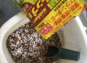 土に緩効性肥料(マグアンプk)を混ぜる